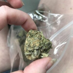 Buy Khalifa Kush Online – Potent Indica Dominant Strain