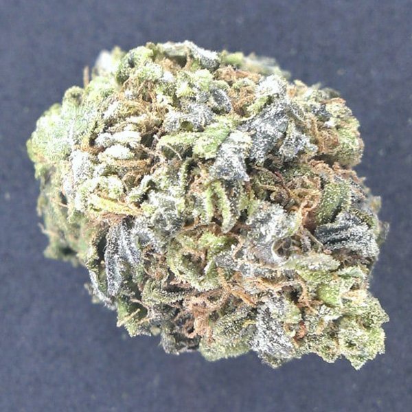 Buy Jesus OG Weed Strain Online - Top Quality | Chemsfine