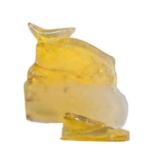 Congolese Shatter Online: Premium Sativa Hybrid Concentrates