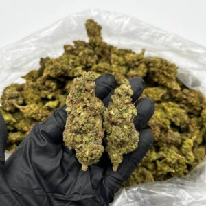 Buy Jet Fuel Online | Top Quality G6 Strain For Sale