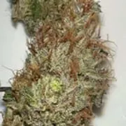 Buy Greasy Pink Bubba Budder – Top Shelf