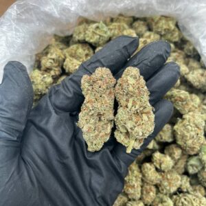 Buy Pina Colada Online - Top Quality For Sale