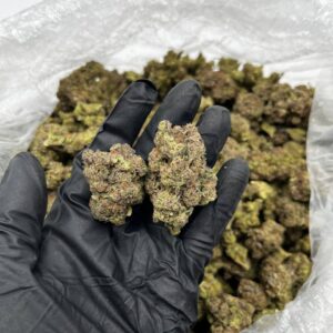 Buy Pink Rose Online | Premium Quality Strain For Sale