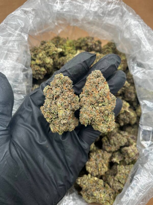 Pop Rox 420 Buy Pop Rox Online | Top Quality Indica Strain For Sale